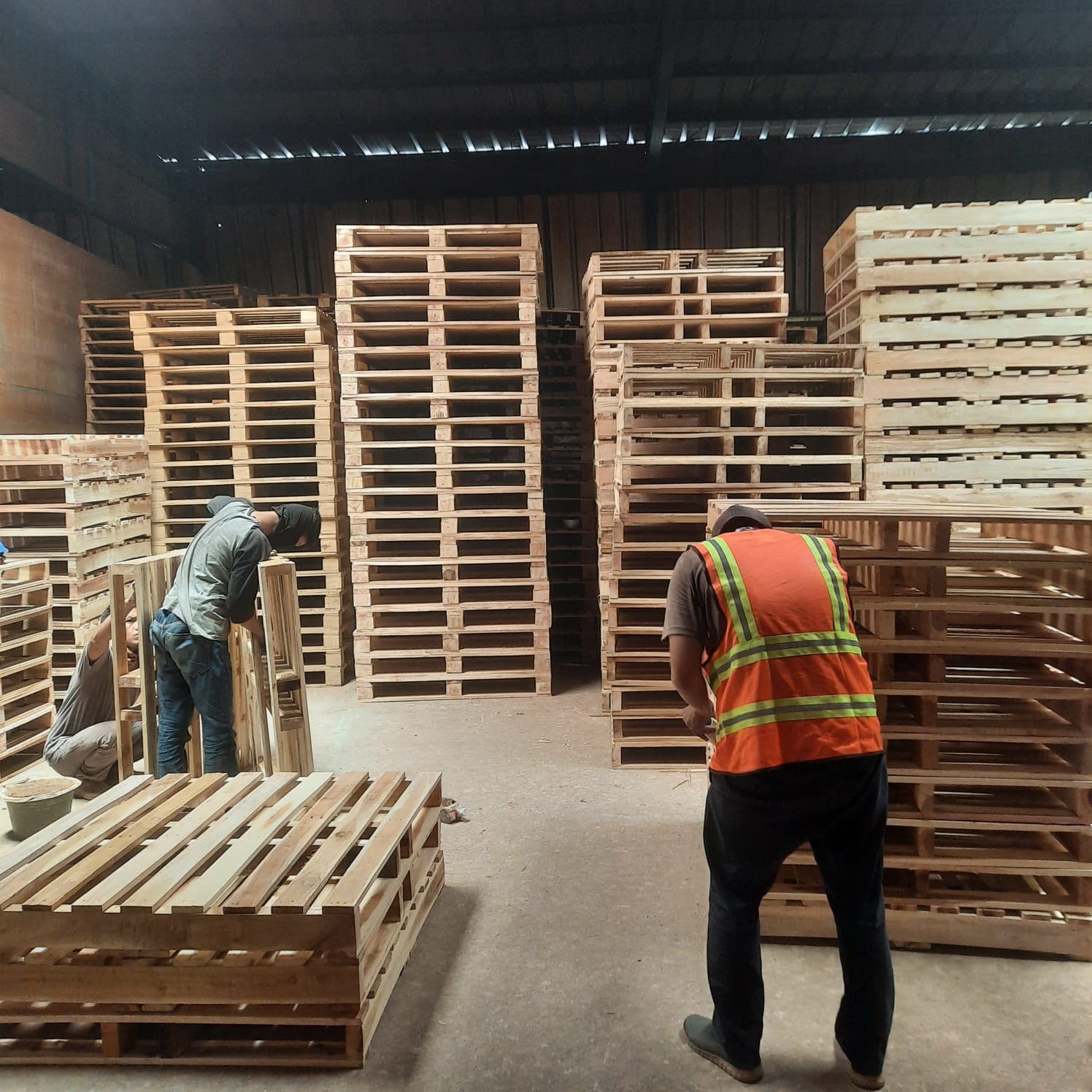 Pemilihan Jenis Kayu Tepat untuk Kelancaran Ekspor Internasional